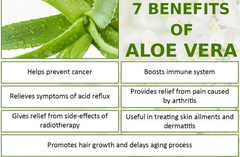Aloe Vera Skin Lotion