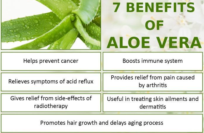 Aloe Vera Hair gel